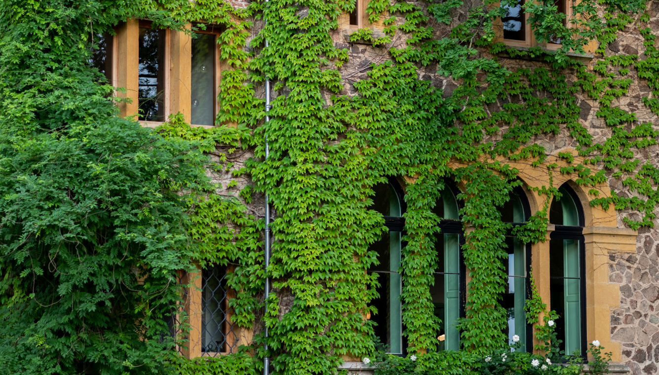 hôtel Relais et Châteaux Troisgros Le Bois dormant