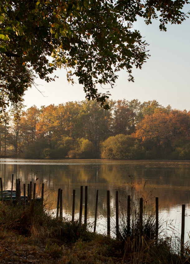 paysage hôtel Troisgros près de Roanne dans la Loire