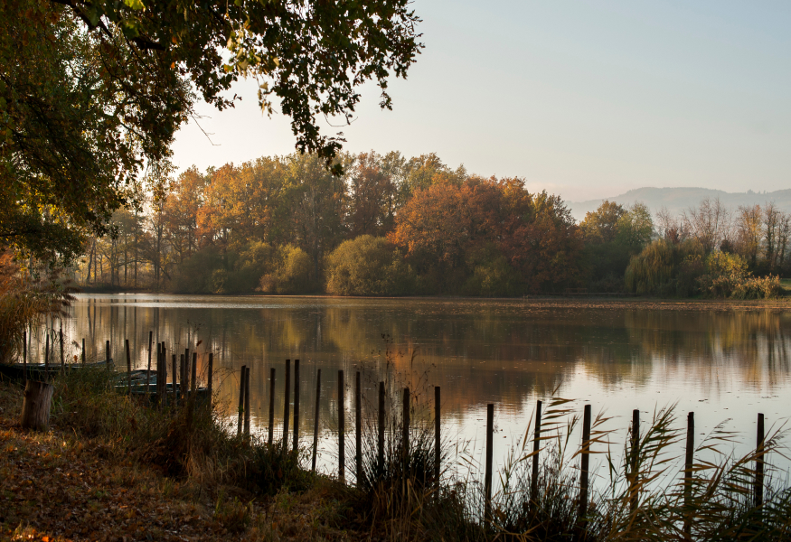 paysage hôtel Troisgros près de Roanne dans la Loire