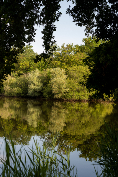 paysage de la Loire près de la Maison Troisgros