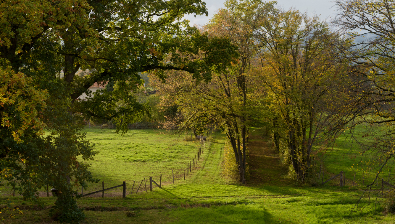 paysage dans la Loire près de Roanne