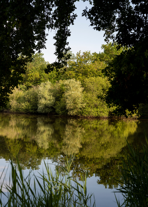 paysage dans la Loire près de Roanne